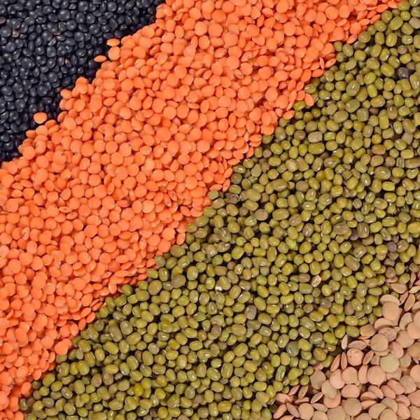 صناعة الأعلاف